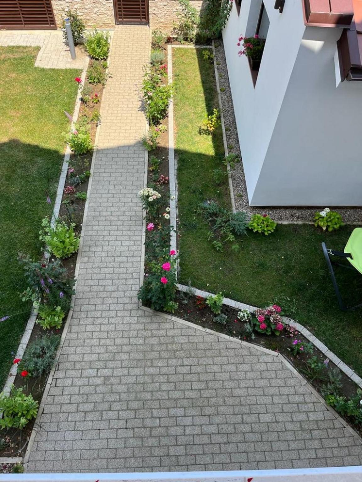 Trend Bed & Breakfast Arad Exterior photo